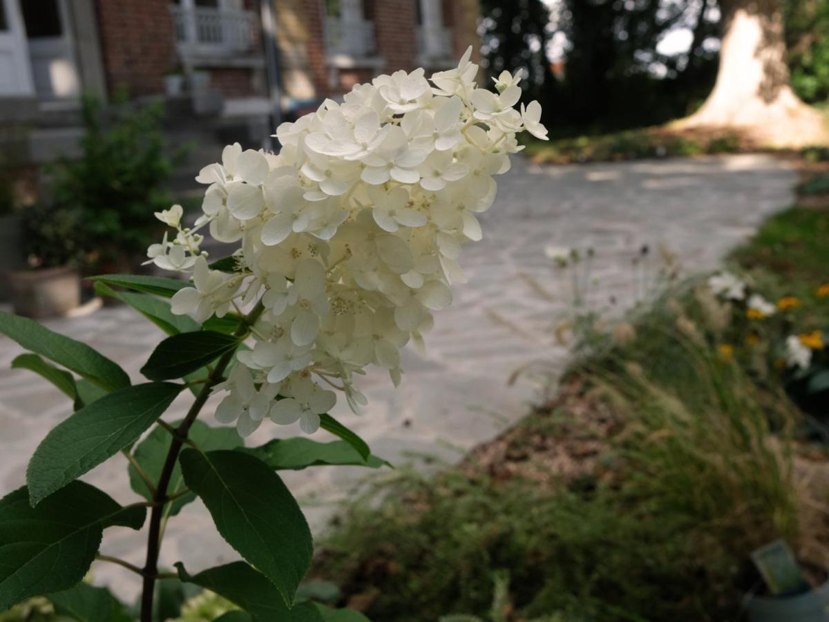 Saint-Martin-Lez-Tatinghem Mille Et Une Feuilles מראה חיצוני תמונה